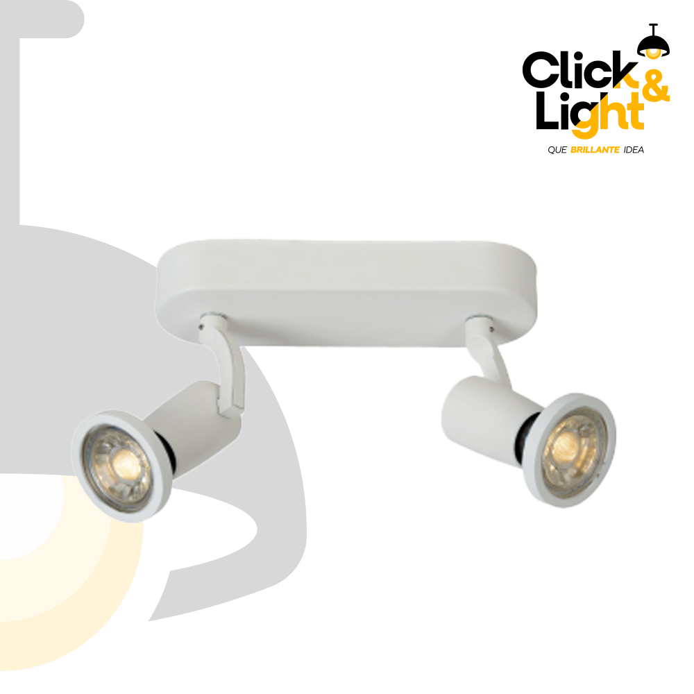 PLAFON 2 LUZ TEEB ESTILO CLASICO